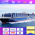 The cheapest freight forwarder sea freight DDP  from China to the UAE